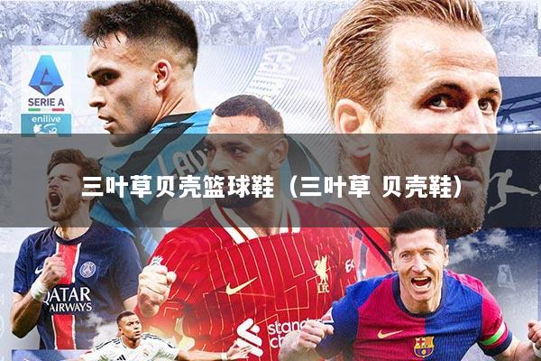 三叶草贝壳篮球鞋(三叶草 贝壳鞋)